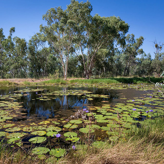 Doongmabulla springs, Galilee Basin