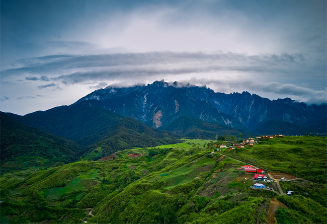 Green forests and a small village in front of Mount Kinabalu
