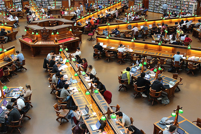 Student studying at a university library. 