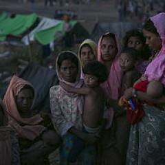 The Rohingya Crisis