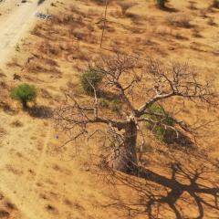 Arid