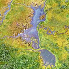 wetlands