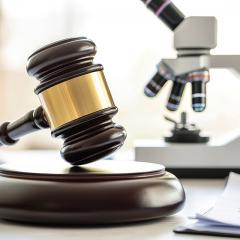 Legal gavel and microscope