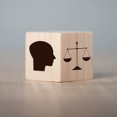 Cube featuring silhouette head and scales