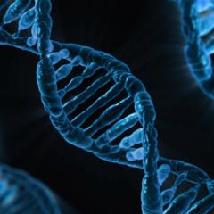 CRISPR Gene Editing Technologies