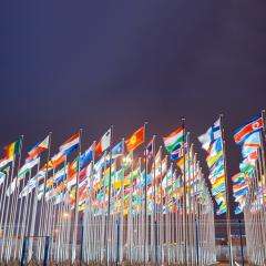 UN World Flags