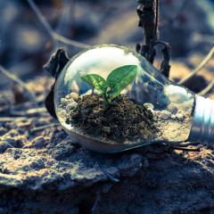 Growing ideas