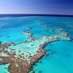 Great Barrier Reef aerial