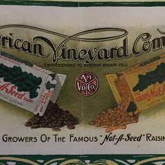 Authenticating food: trade marks and the legal production of the food chain