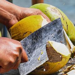 Using the unused policy space in intellectual property law to ensure food security