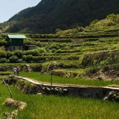 Intellectual property and the emergence of modern agriculture
