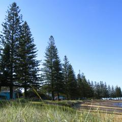 Scarborough, Queensland