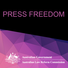 Press Freedom webinar floyer