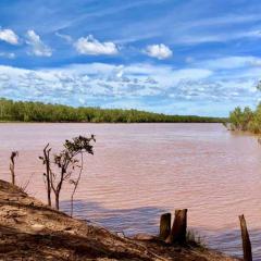 A photograph of a muddy river.