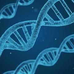 Implementation of Genomics into Queensland healthcare