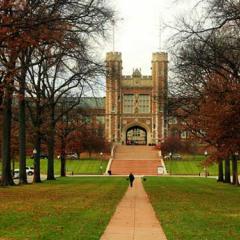 Washington University, St Louis, Missouri