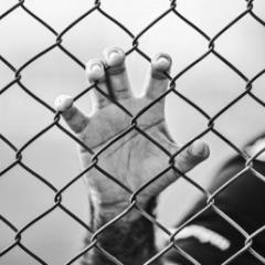 hand holding onto diamond wire fence
