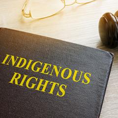 Book about Indigenous Rights law and gavel.