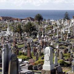 The Waverley Cemetery in Sydney with gravestones in the foreground and the bay in the background.